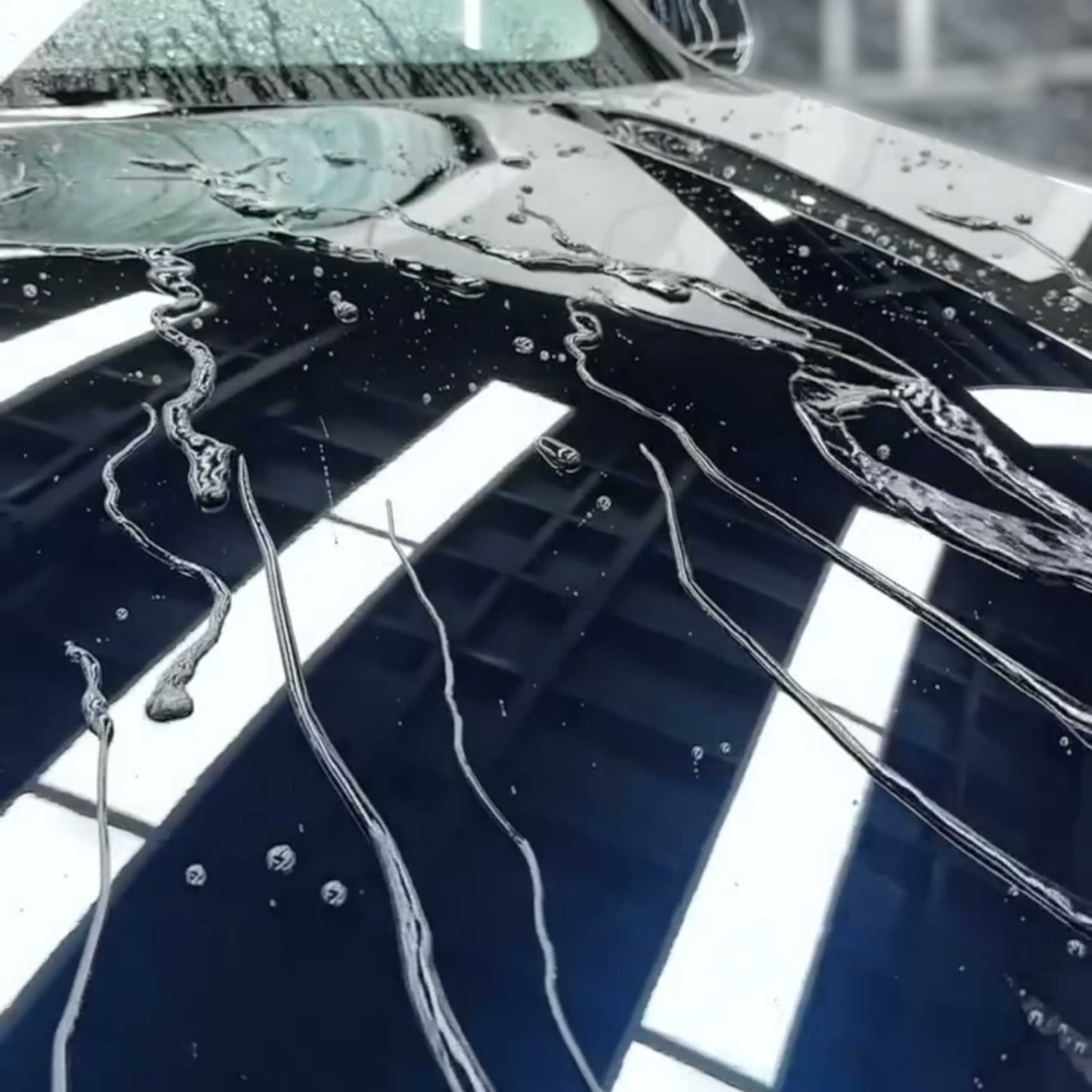 Wasserperlen auf einer versiegelten Motorhaube – Symbol für den hydrophoben Schutz